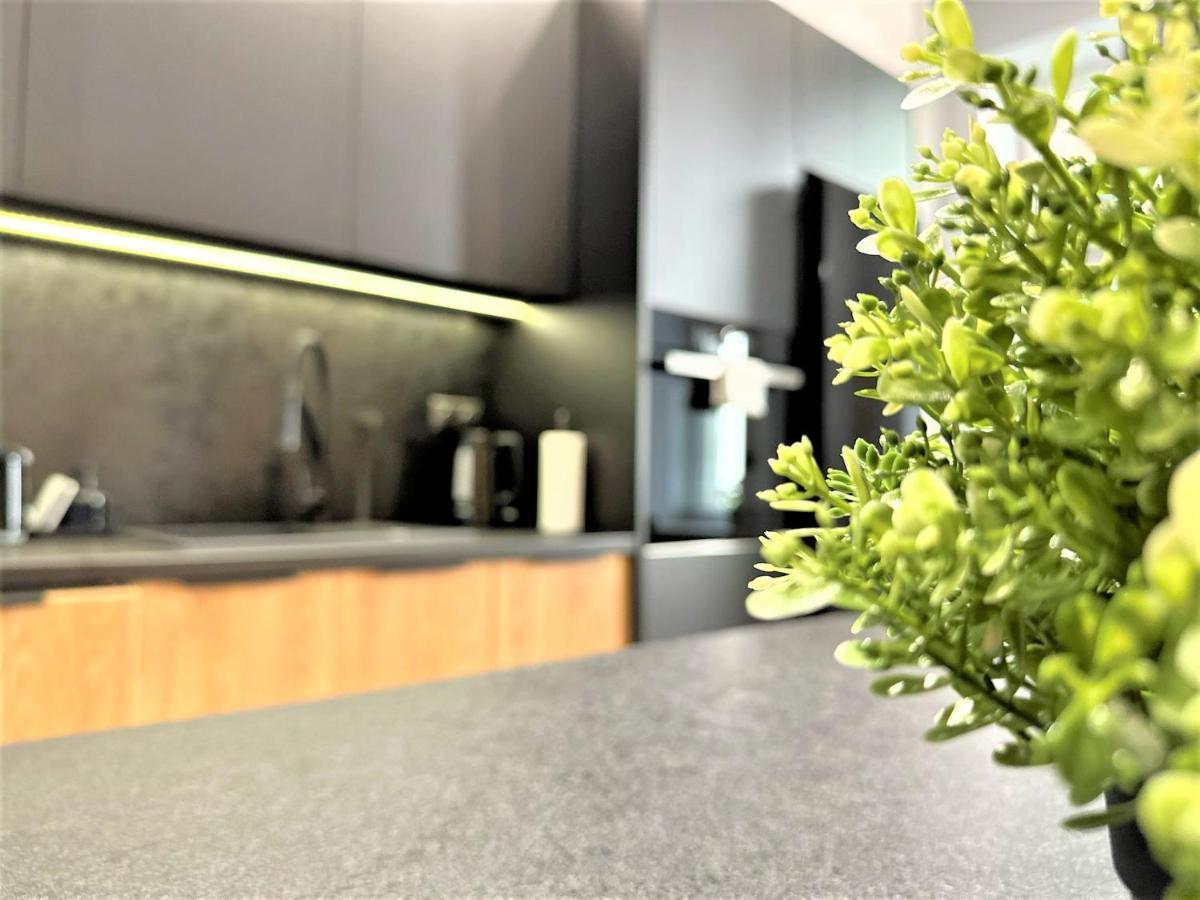 Luxury 100M2 Loft Design-Apartment At Wawel + Netflix คราคูฟ ภายนอก รูปภาพ