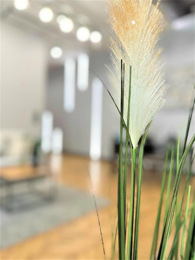 Luxury 100M2 Loft Design-Apartment At Wawel + Netflix คราคูฟ ภายนอก รูปภาพ